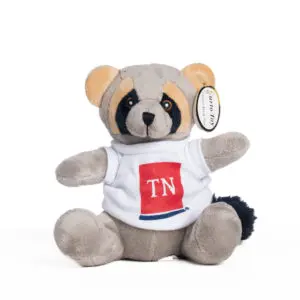 A stuffed bear with a t-shirt on sitting down.