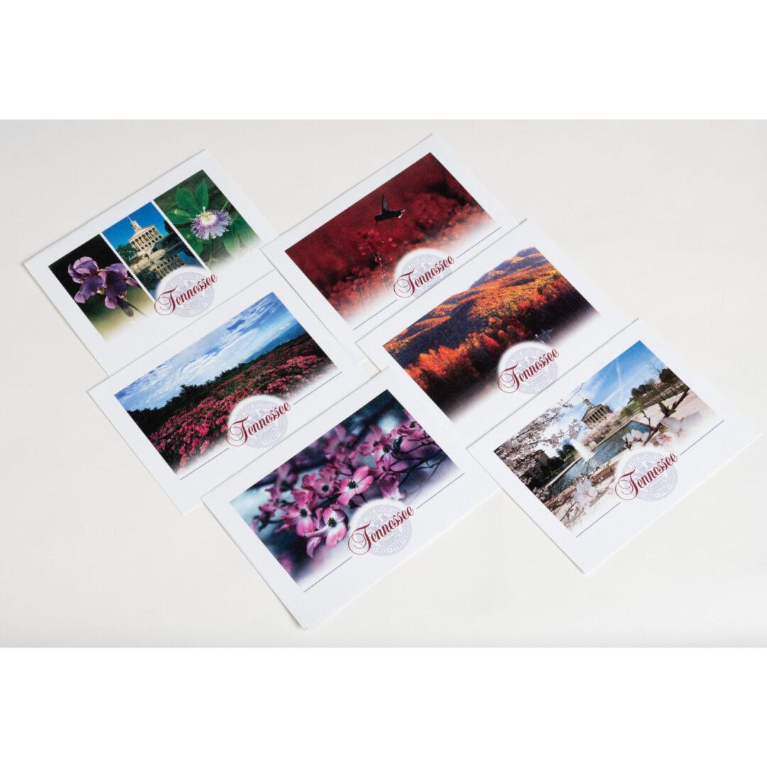 A set of six cards with different pictures on them.